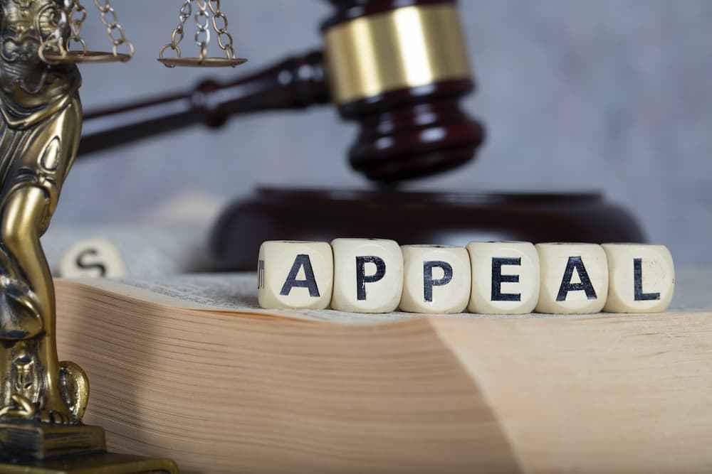 houston criminal appeals lawyer